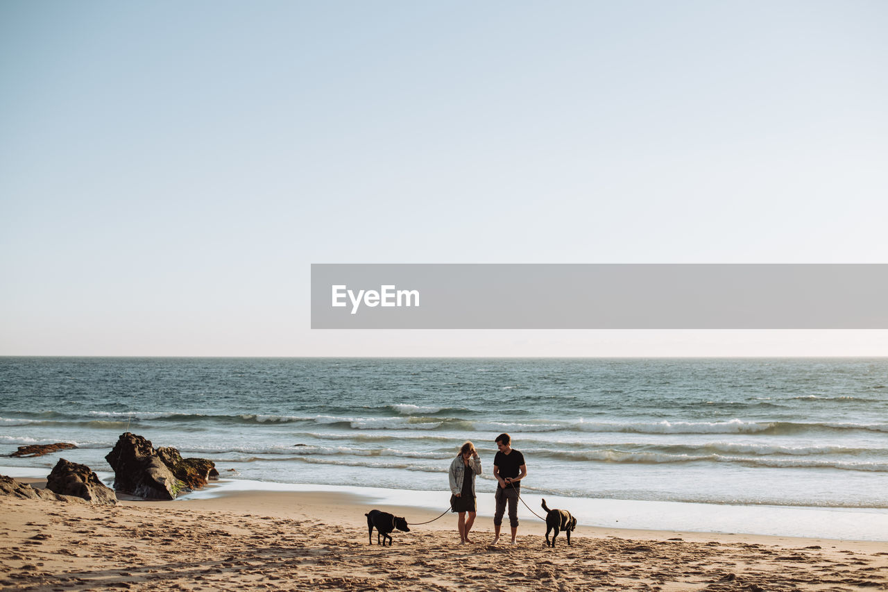 Young millennial couple with two dogs at beach in portugal, wide angle