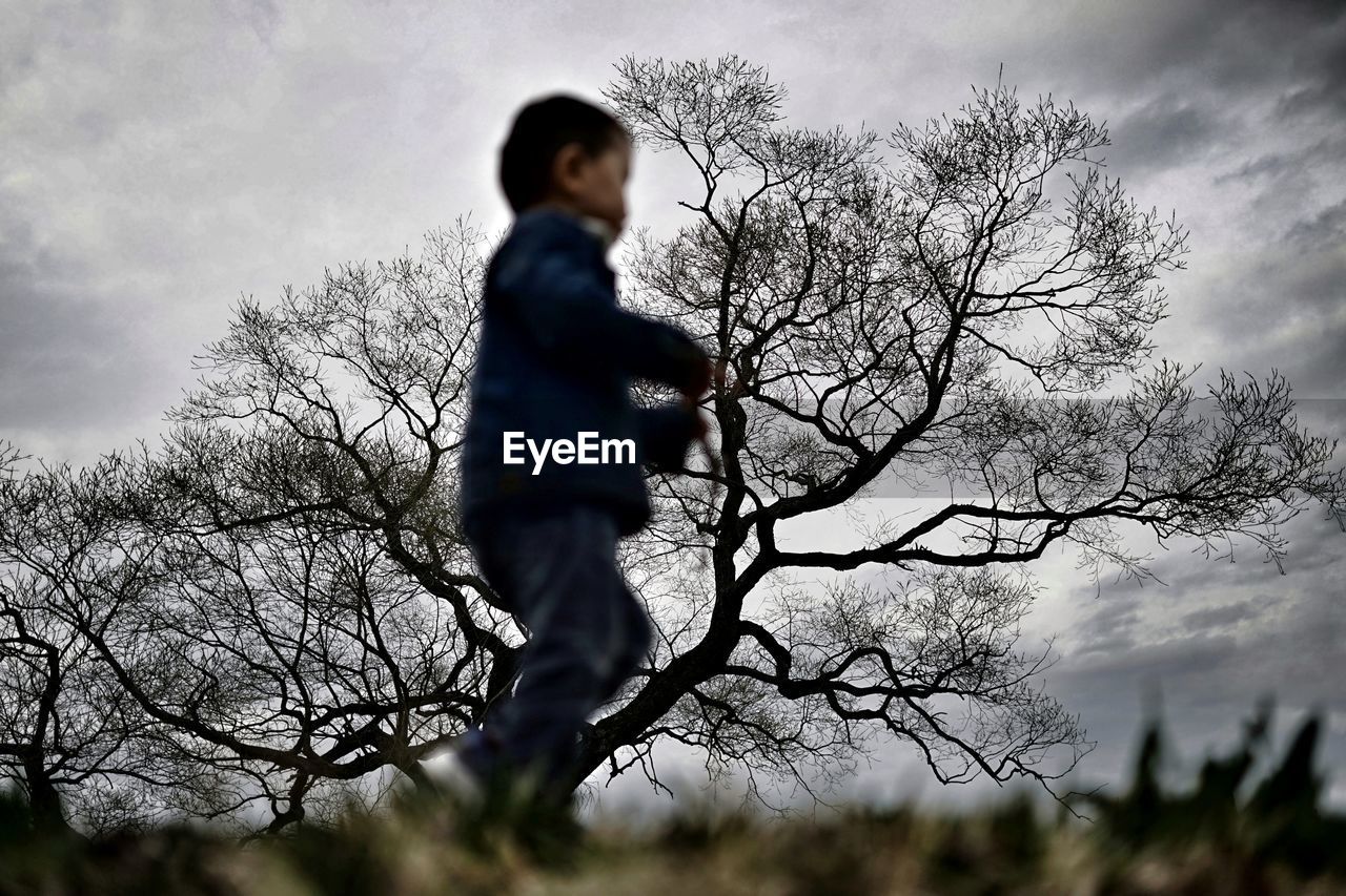 LOW ANGLE VIEW OF BOY STANDING ON BARE TREE