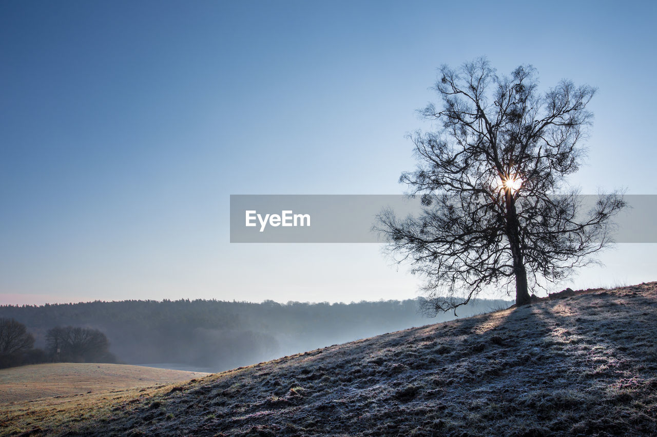 A frosty landscape in the state of brandenburg germany