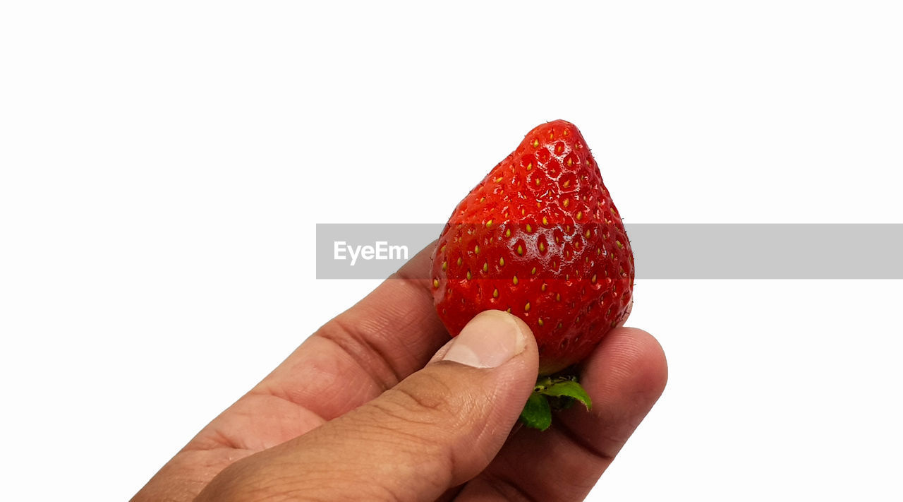 CROPPED IMAGE OF HAND HOLDING STRAWBERRIES