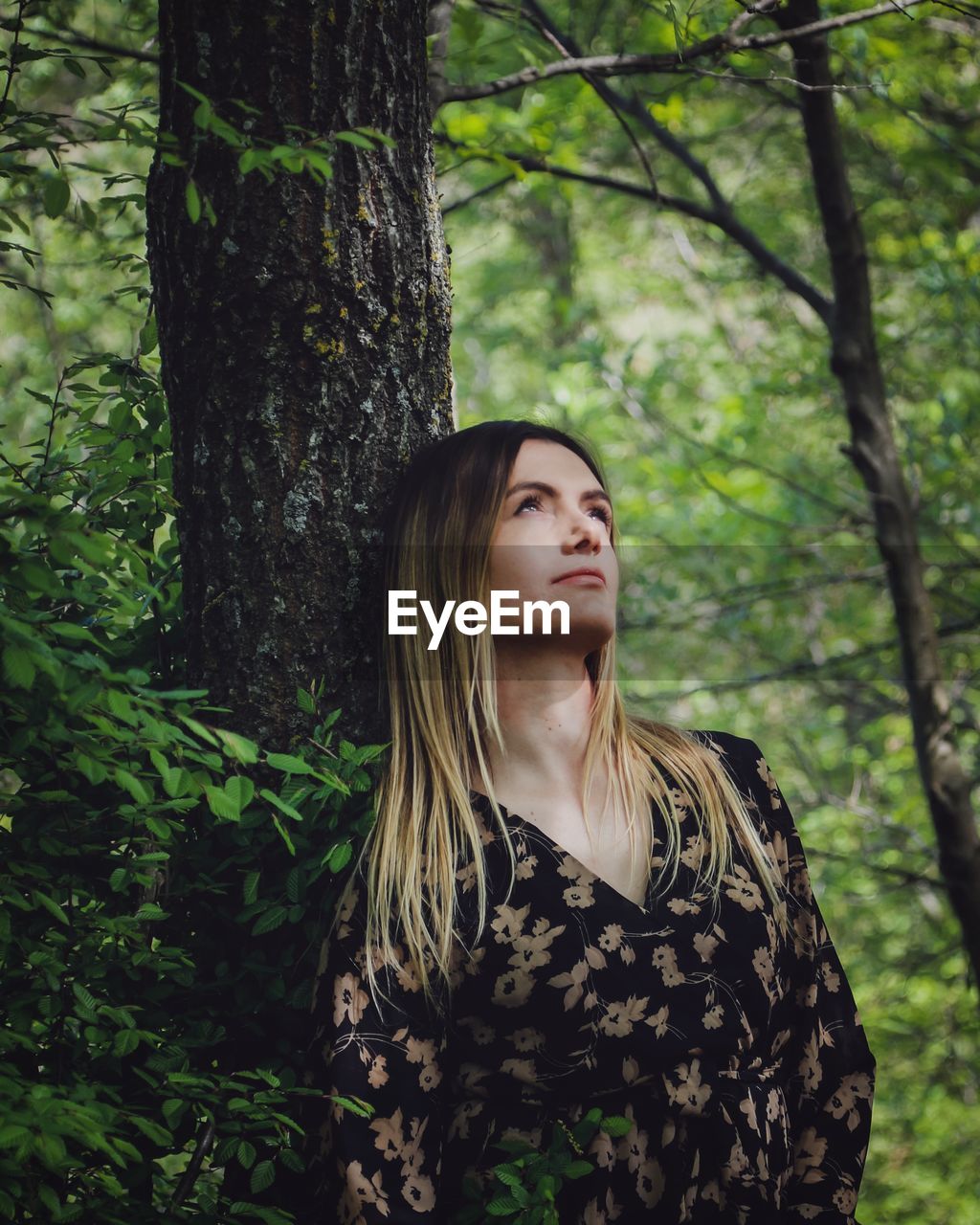 Beautiful young woman standing against tree trunk in forest