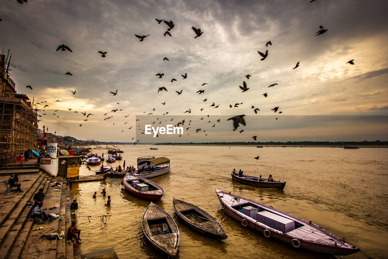 FLOCK OF BIRDS FLYING OVER SEA