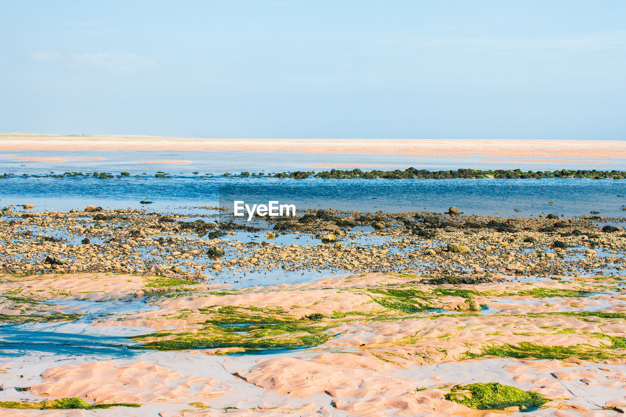 SCENIC VIEW OF SEA