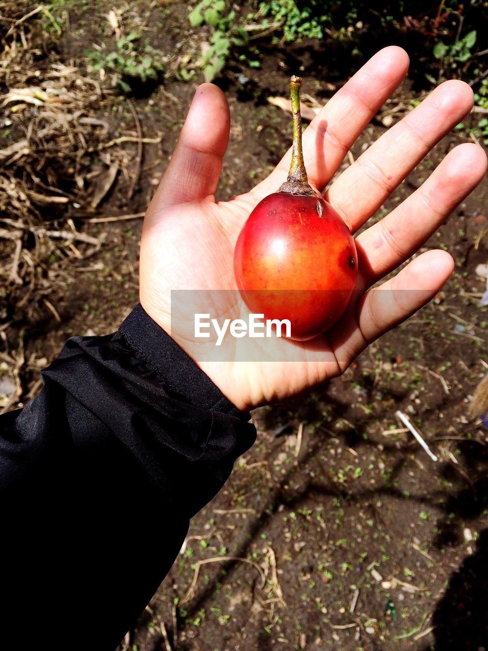 Cropped image of woman holding hands