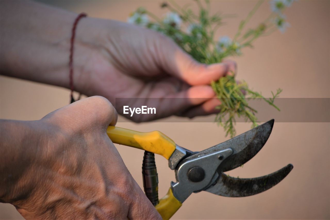 Close-up of man holding tool