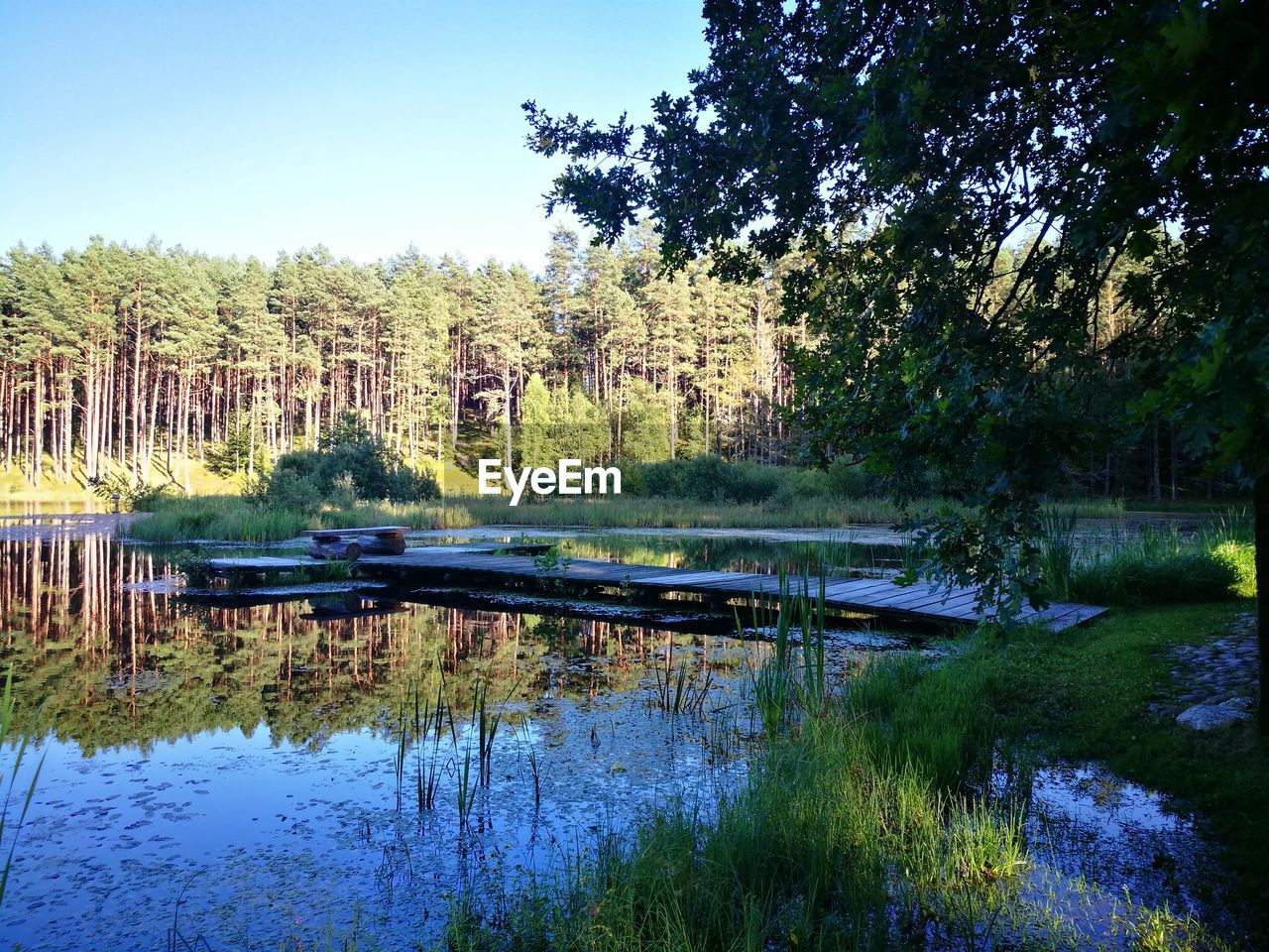 SCENIC VIEW OF LAKE