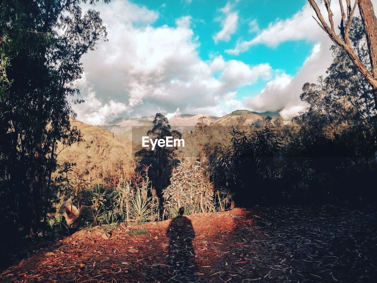 PANORAMIC VIEW OF LAND AGAINST SKY