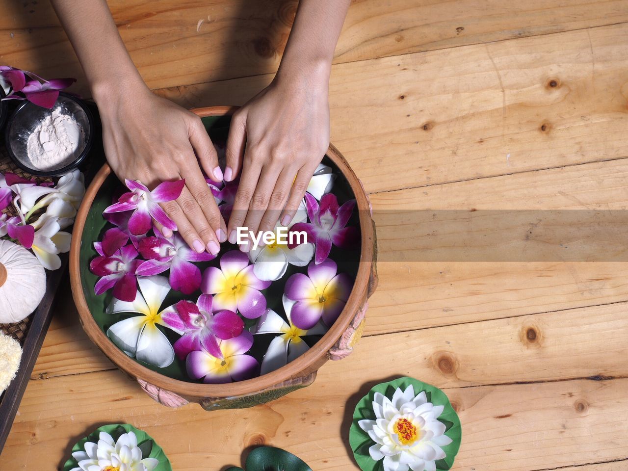 High angle view of hands touching flowers in container