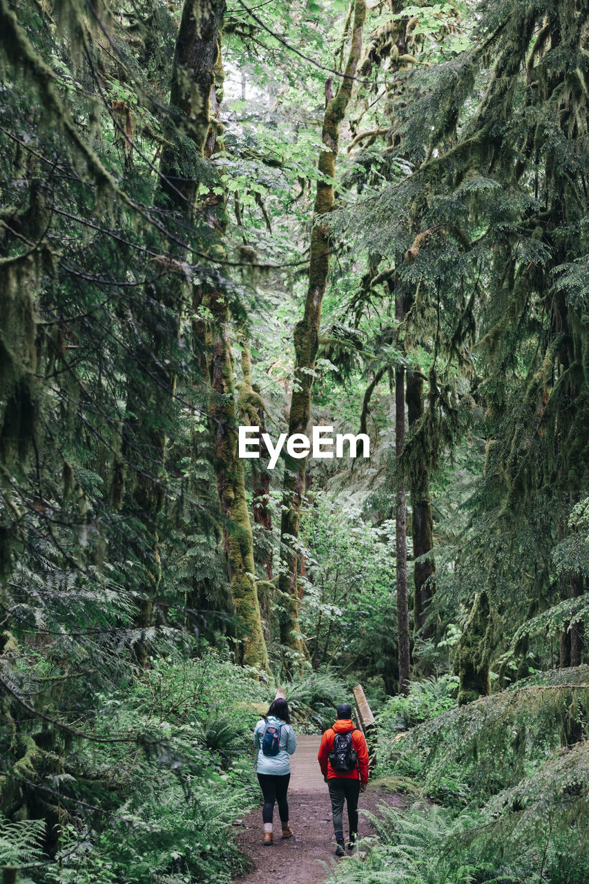 A young couple enjoys a hike in a forest in the pacific northwest.