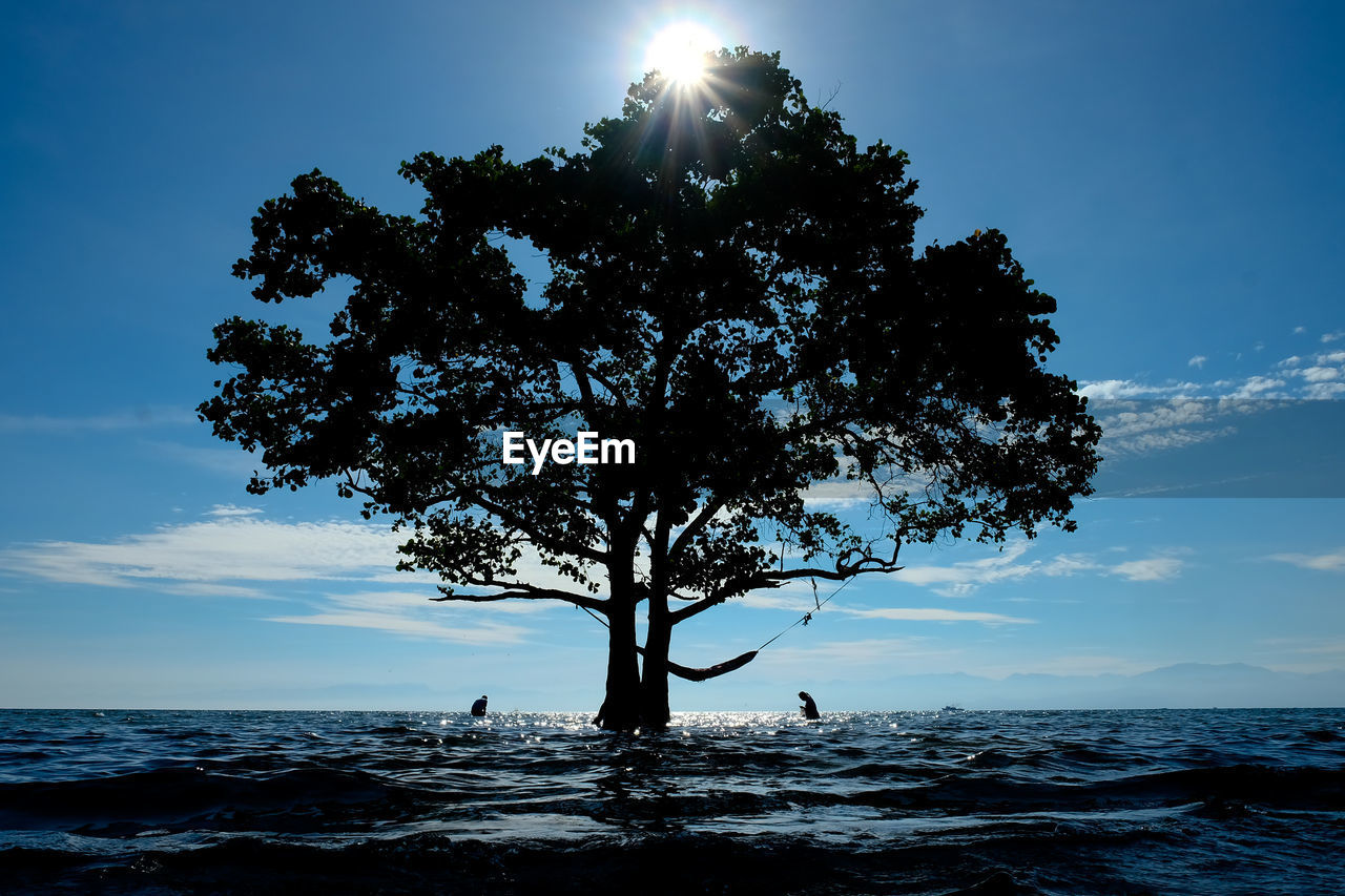 SILHOUETTE TREE AGAINST SEA