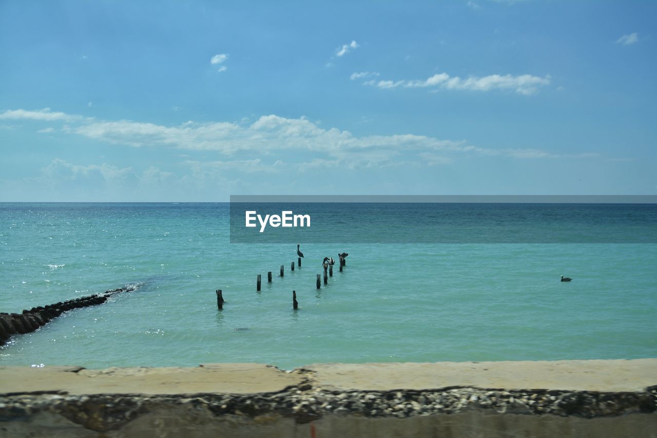 SCENIC VIEW OF BEACH AGAINST BLUE SKY