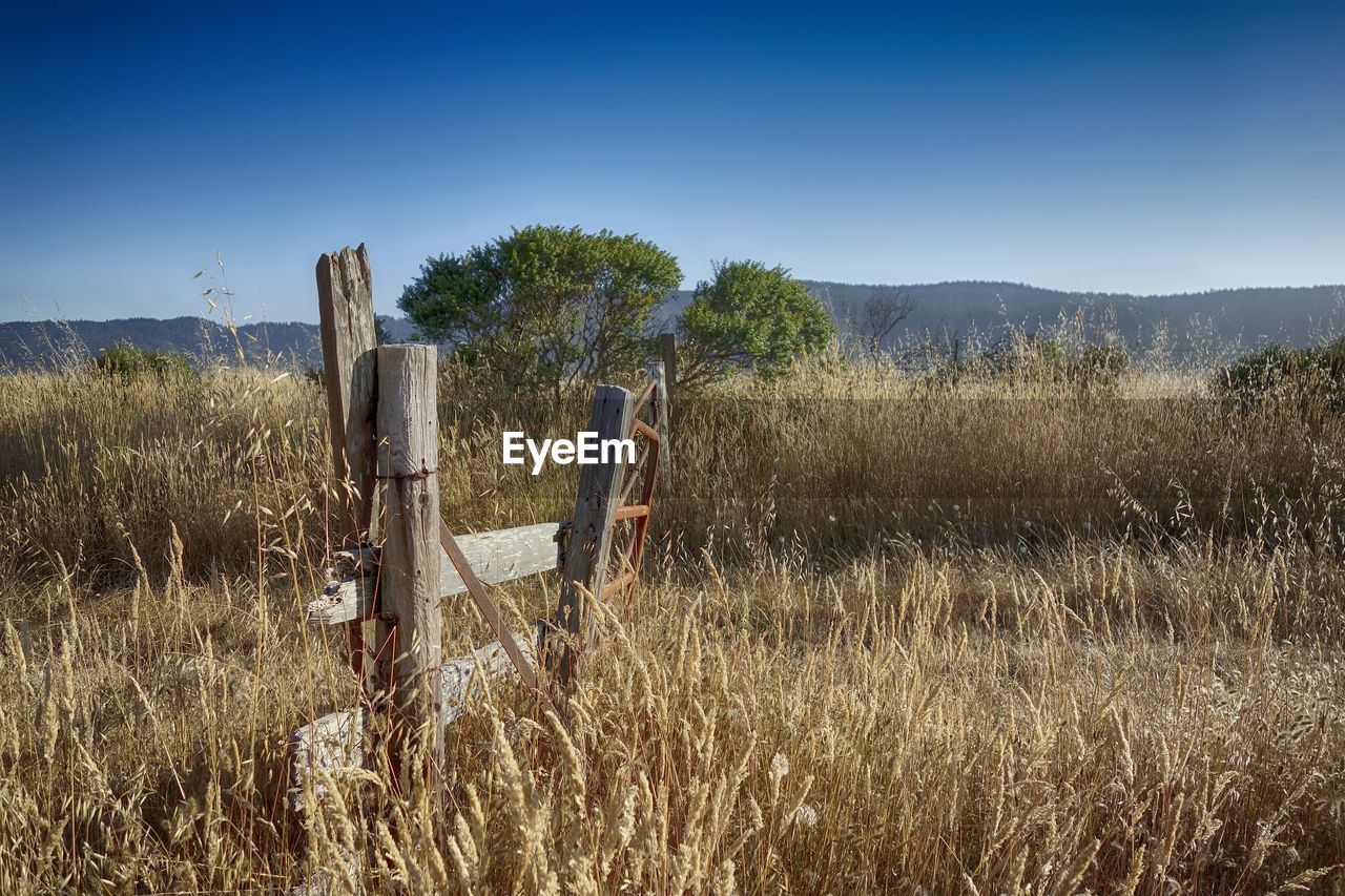 Wooden posts on field against clear sky