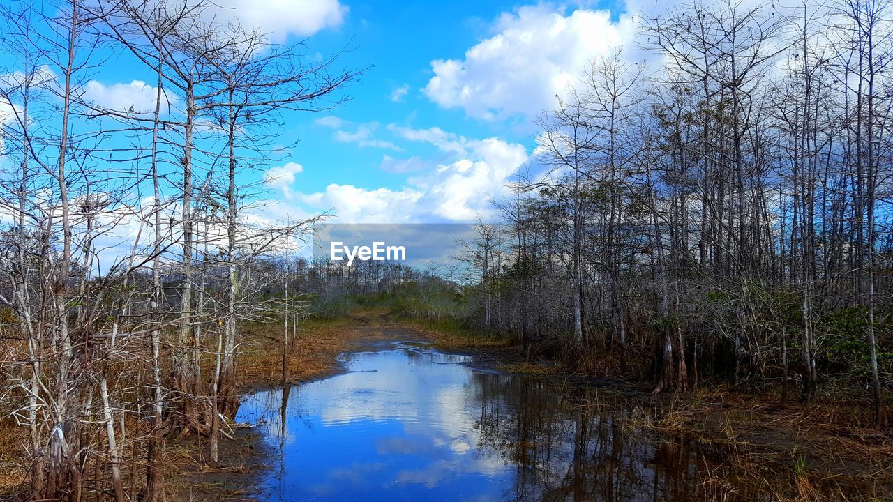 REFLECTION OF TREES IN LAKE AGAINST SKY