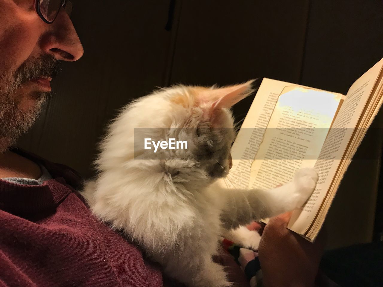 CLOSE-UP OF HAND FEEDING CAT BY HOME