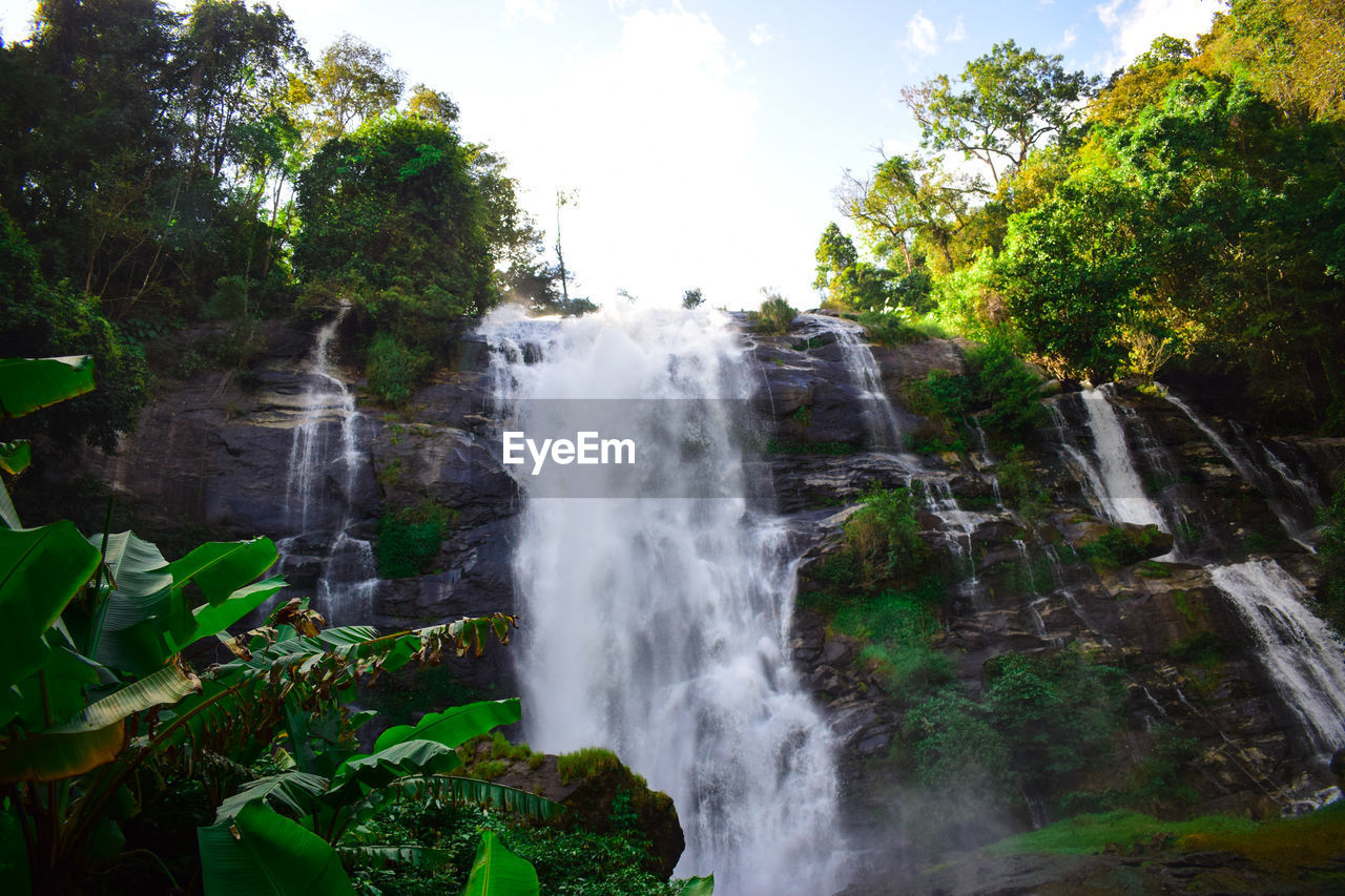 SCENIC VIEW OF WATERFALL AGAINST TREES