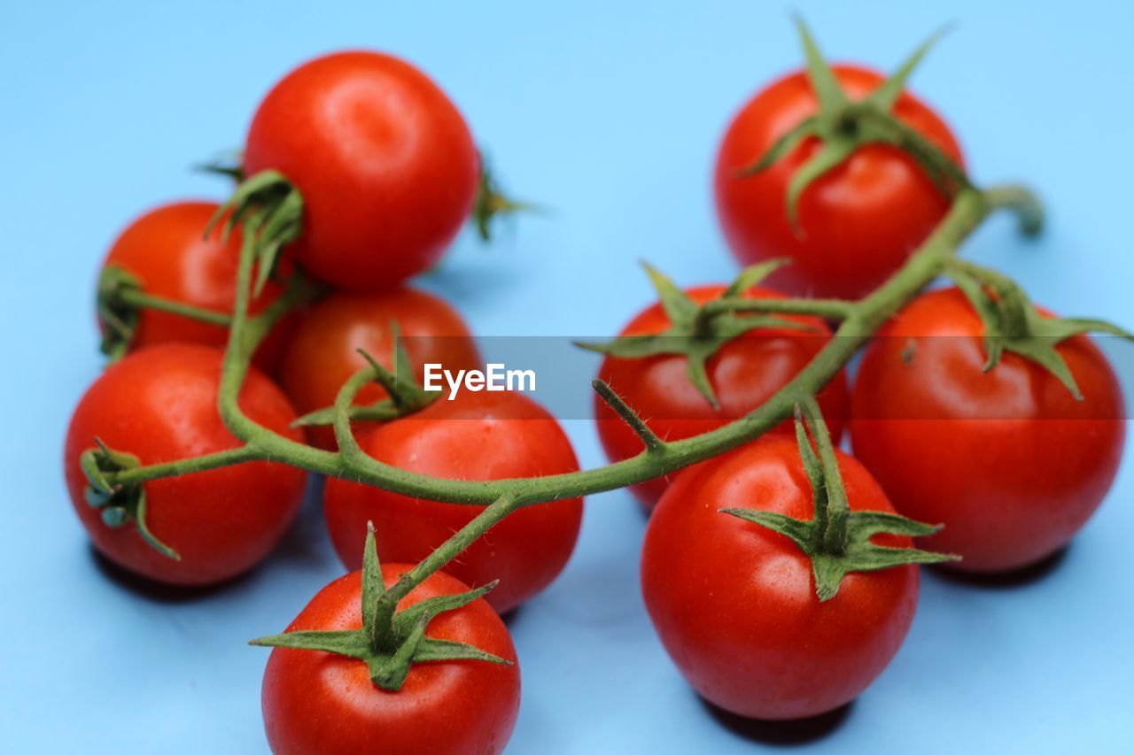 CLOSE-UP OF CHERRY TOMATOES AGAINST RED BERRIES