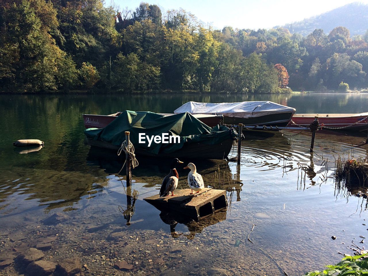 BOATS IN A LAKE