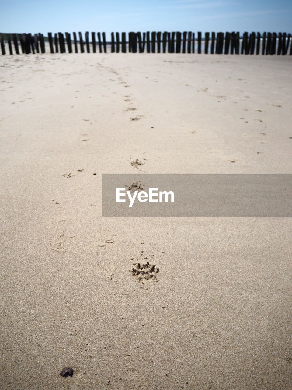 Close-up of footprints on sand at beach against sky