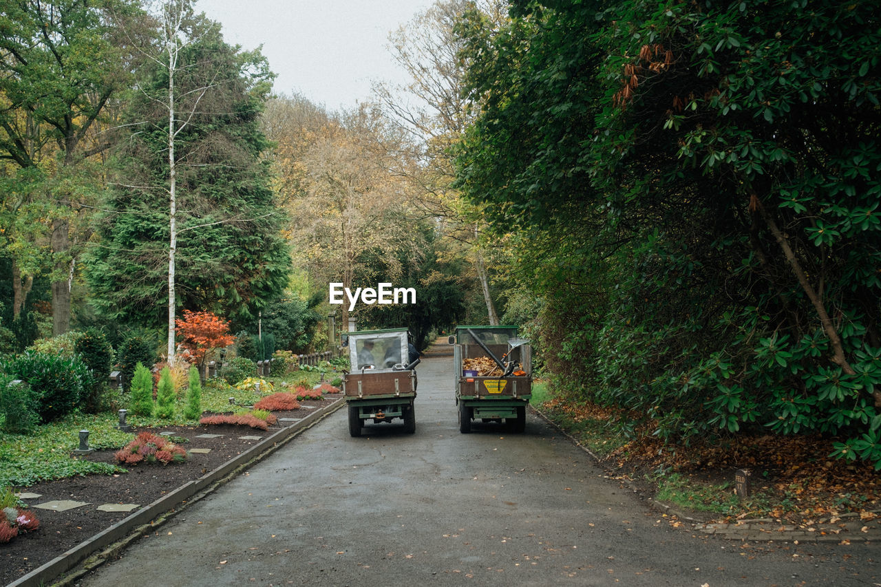 plant, tree, transportation, mode of transportation, nature, growth, land vehicle, green, transport, day, road, rural area, no people, autumn, vehicle, the way forward, outdoors, waterway, street, forest, travel