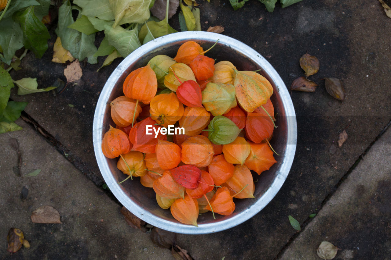 High angle view of winter cherries in bowl at outdoors