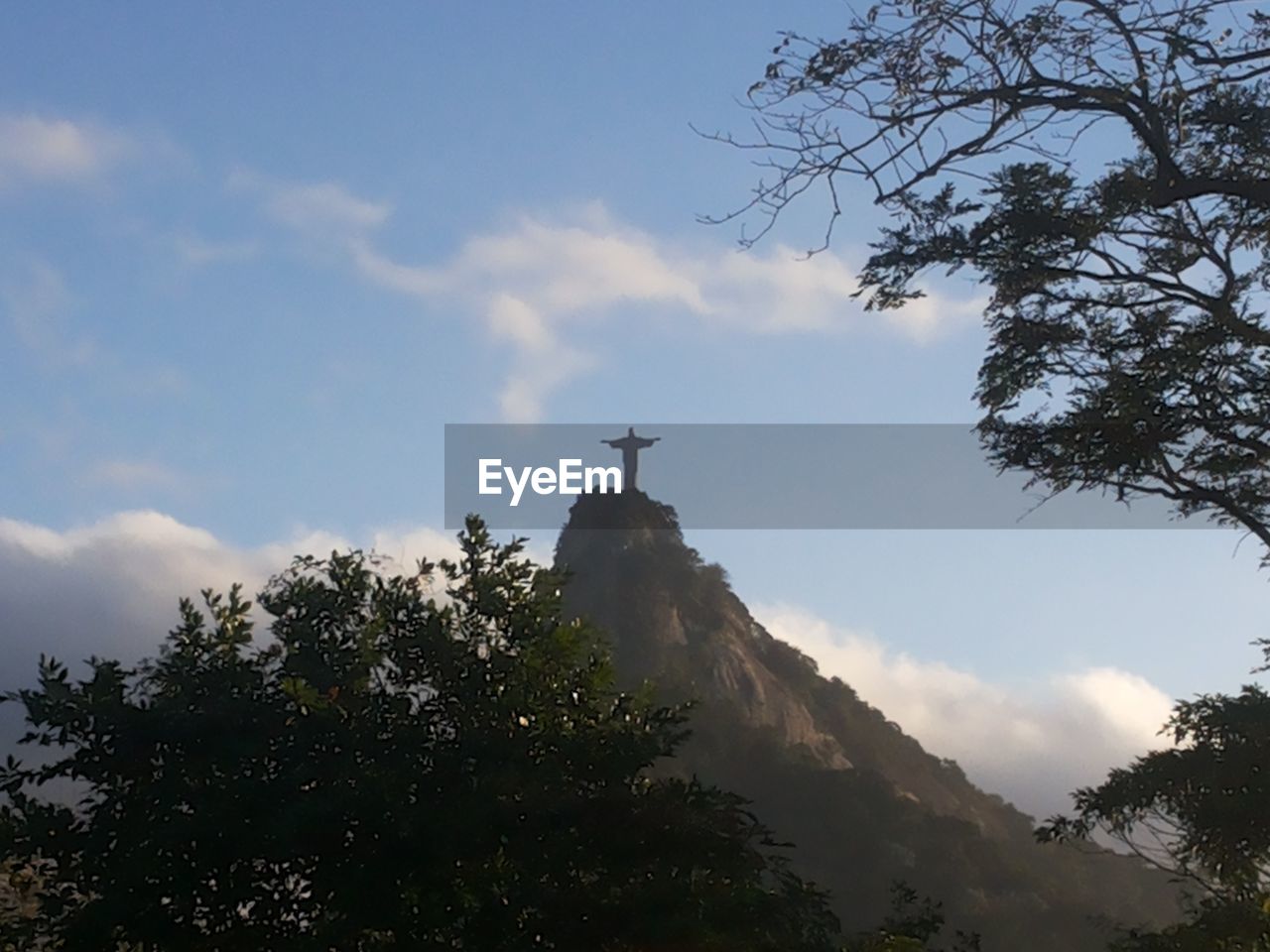 LOW ANGLE VIEW OF TREE AND MOUNTAIN AGAINST SKY