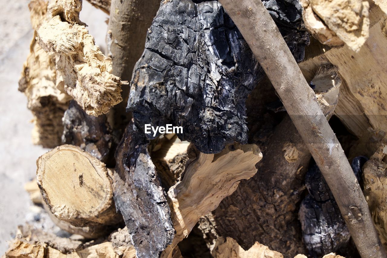 FULL FRAME SHOT OF ROCKS ON TREE