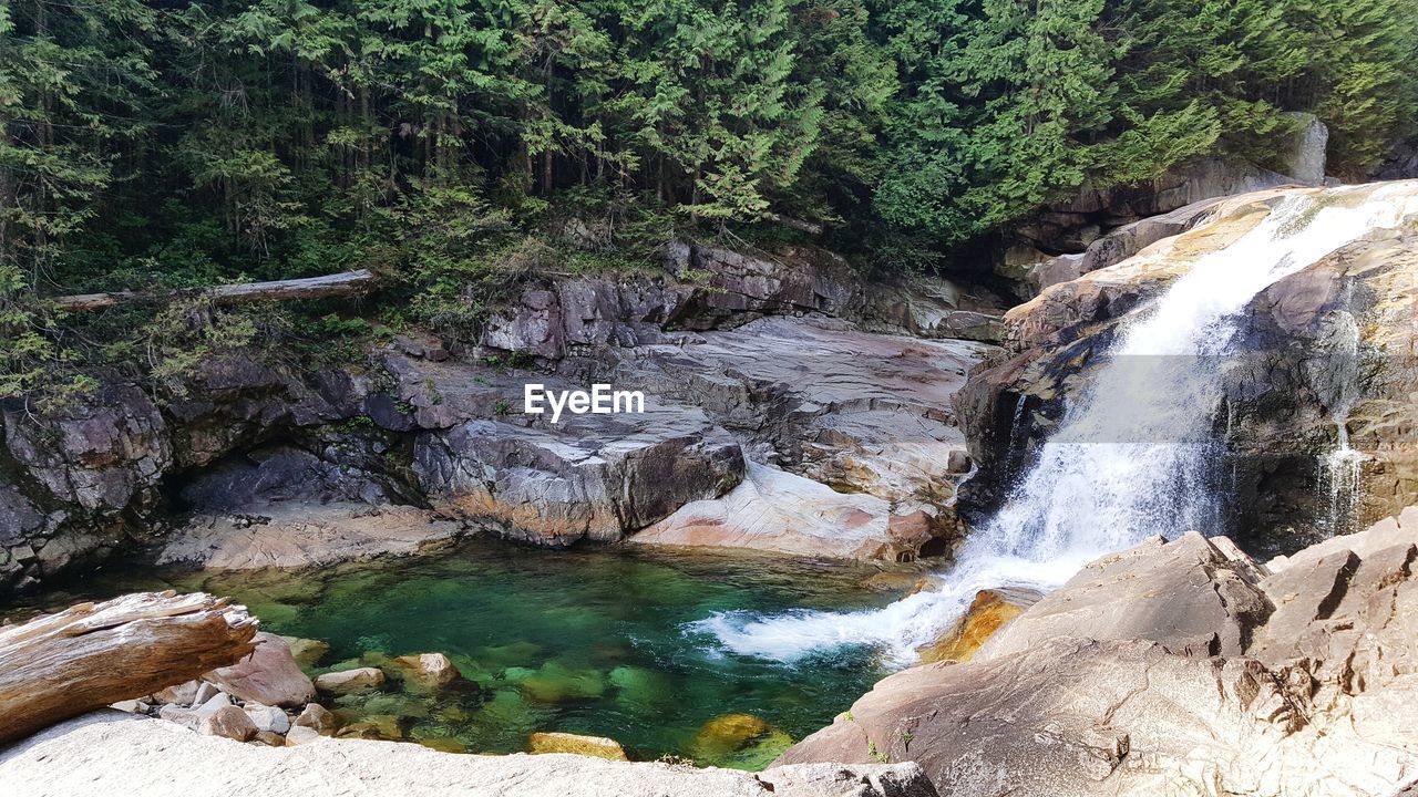 SCENIC VIEW OF RIVER FLOWING THROUGH FOREST