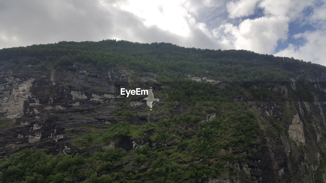 SCENIC VIEW OF MOUNTAINS AGAINST CLOUDY SKY