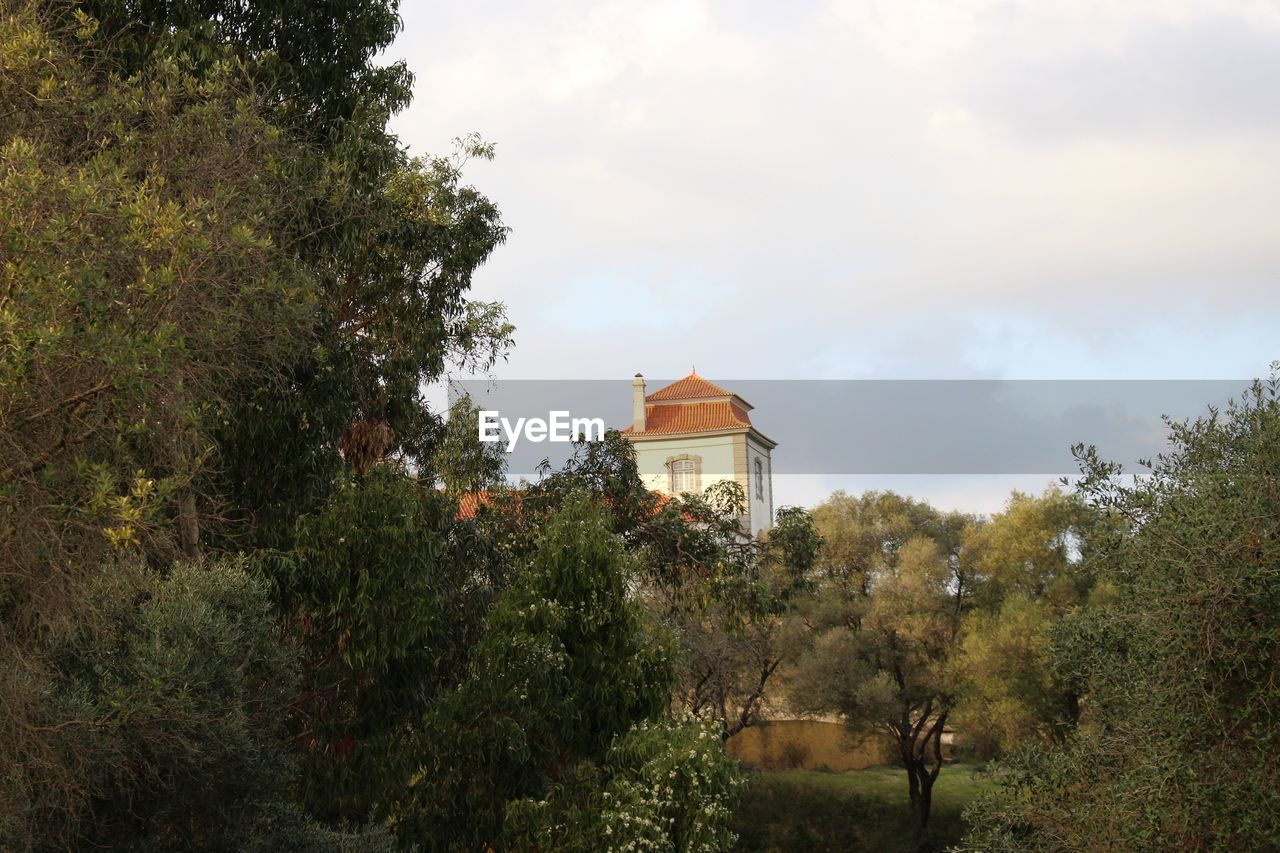 Low angle view of house and trees against cloudy sky