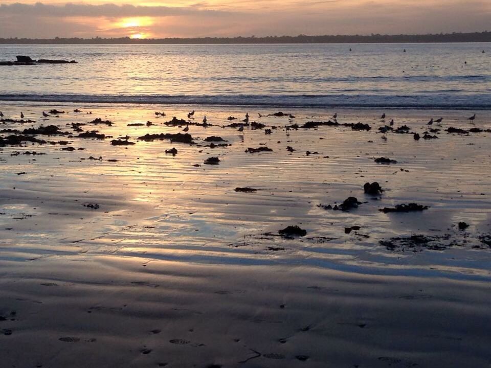 VIEW OF SEA AT SUNSET