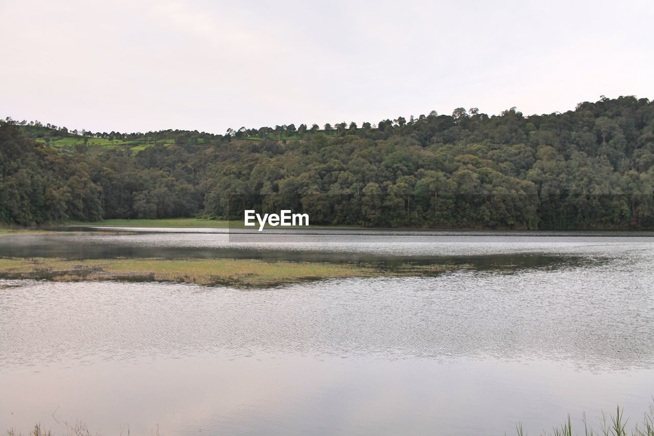 SCENIC VIEW OF LAKE AGAINST TREES