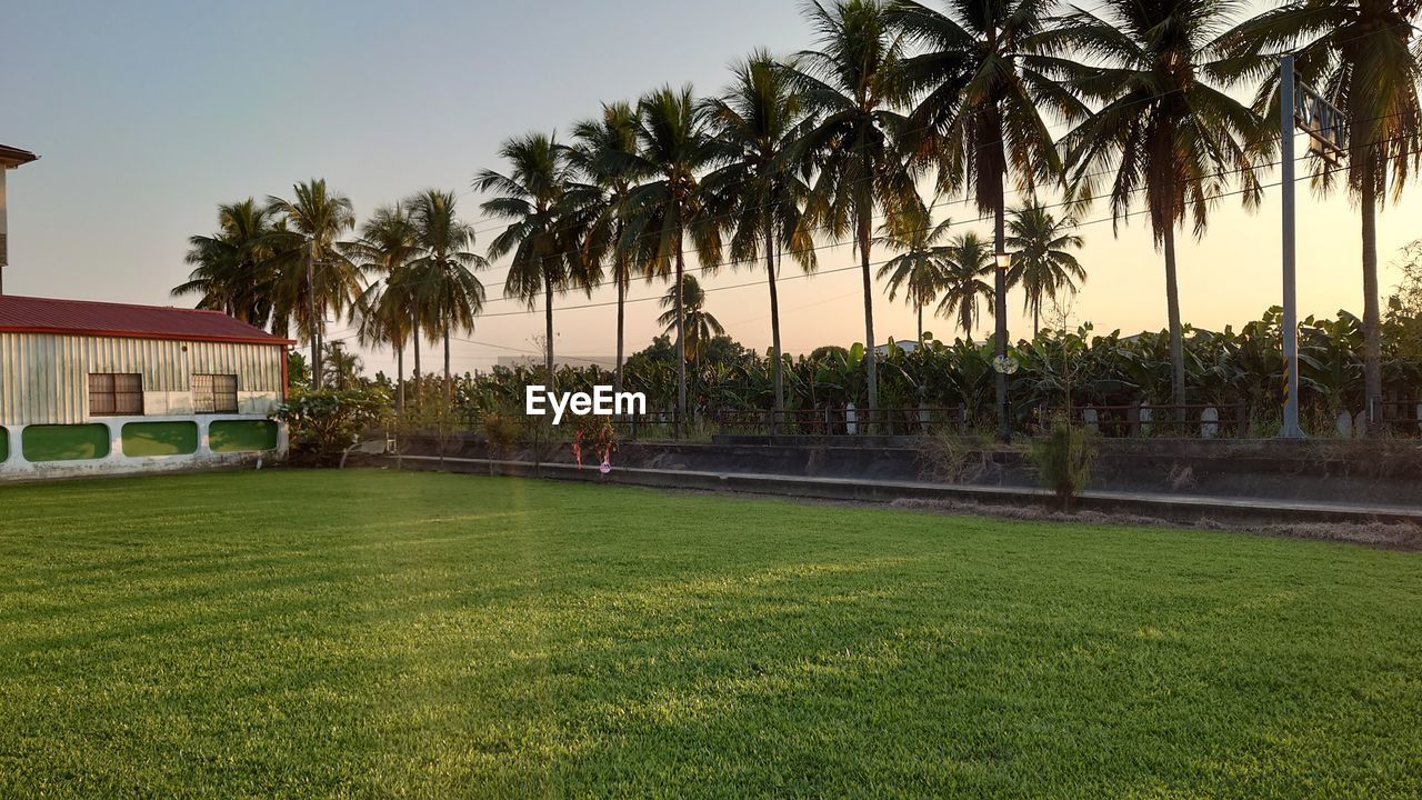 palm tree, tropical climate, plant, tree, nature, sky, grass, architecture, built structure, travel destinations, building exterior, estate, water, coconut palm tree, land, building, green, no people, beauty in nature, outdoors, tropical tree, house, vacation, sports, environment, travel, tourist resort, sunset, trip, walkway, tranquility, holiday, wealth, residential district, day, tourism, lawn, idyllic, landscape, front or back yard