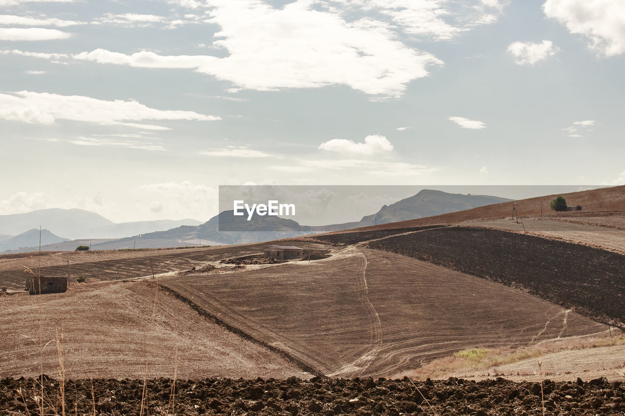 Scenic view of agricultural field against sky