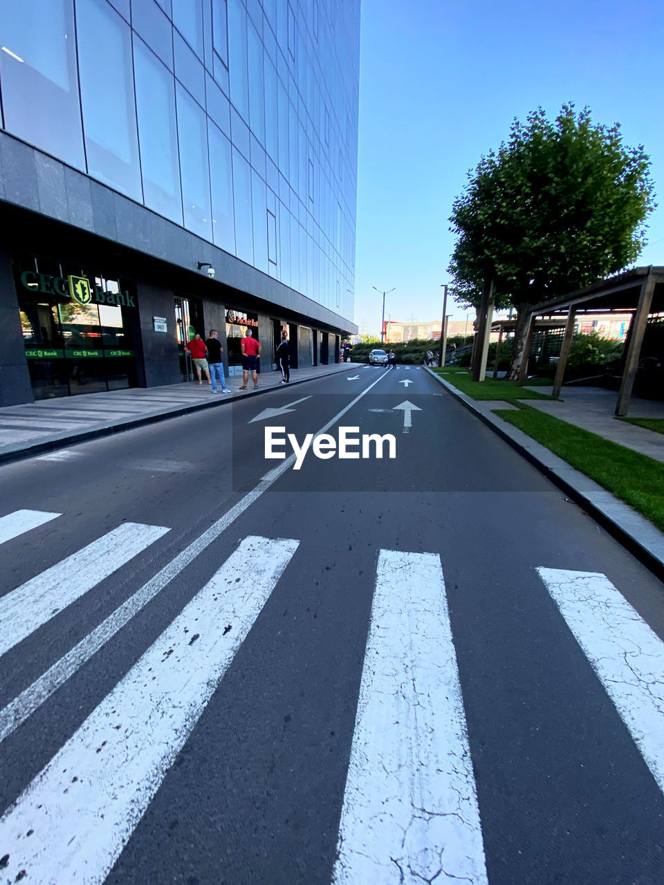 VIEW OF ROAD CROSSING SIGN IN STREET