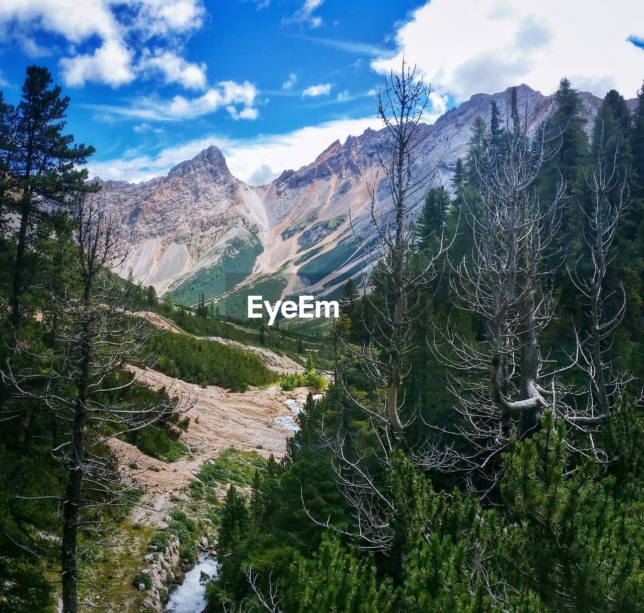 Scenic view of mountains with trees in foreground