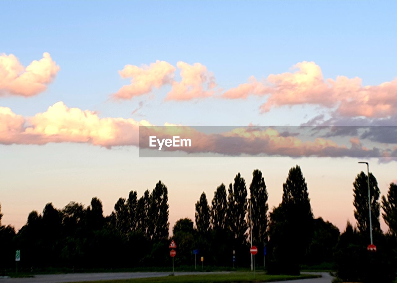 SILHOUETTE TREES ON LANDSCAPE AGAINST SKY DURING SUNSET