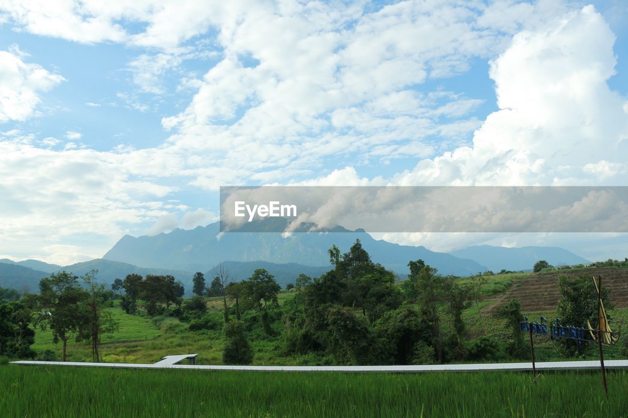 SCENIC VIEW OF LAND AND TREES AGAINST SKY