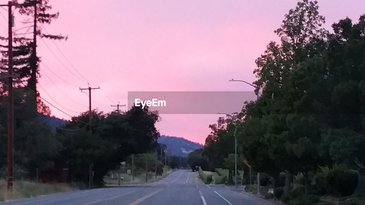 EMPTY ROAD ALONG TREES