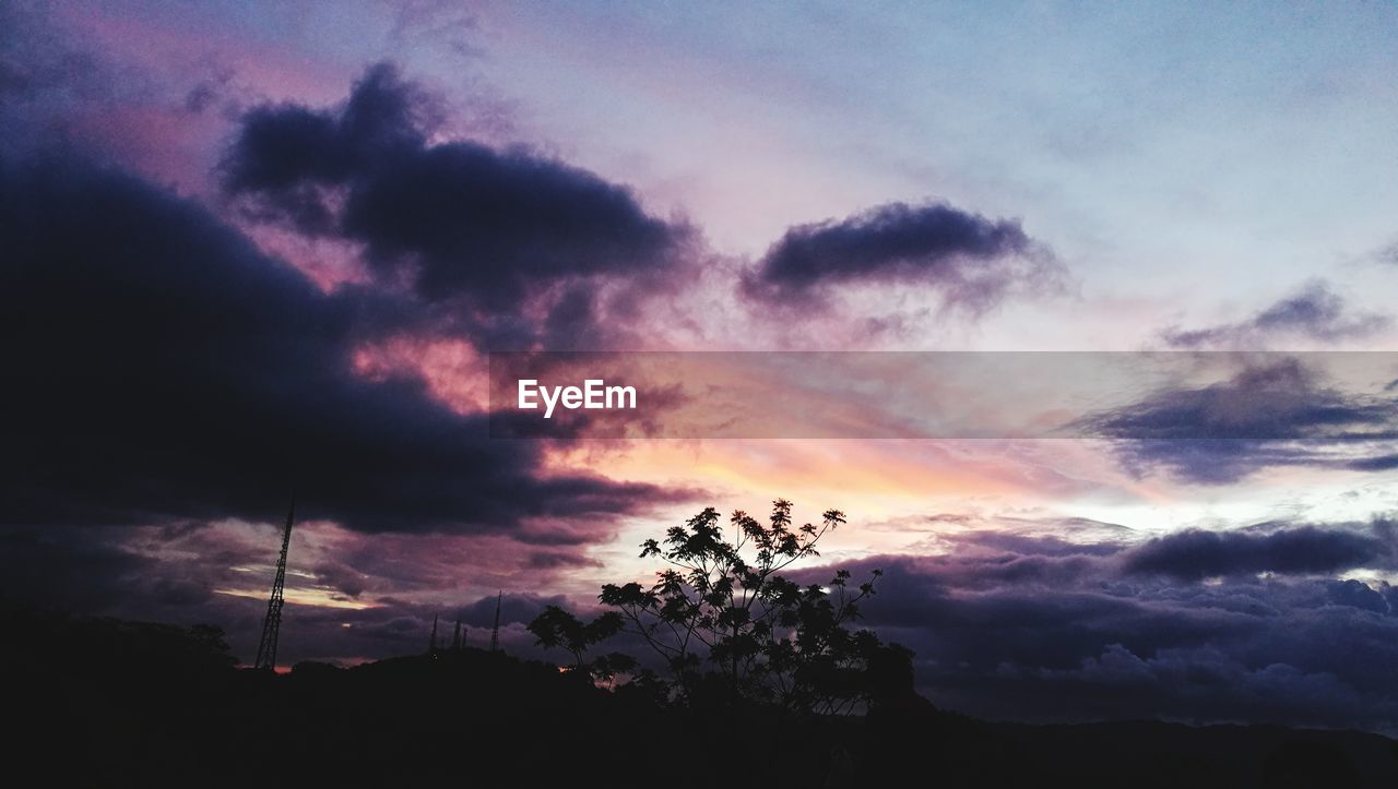 LOW ANGLE VIEW OF SILHOUETTE TREE AGAINST SKY AT SUNSET