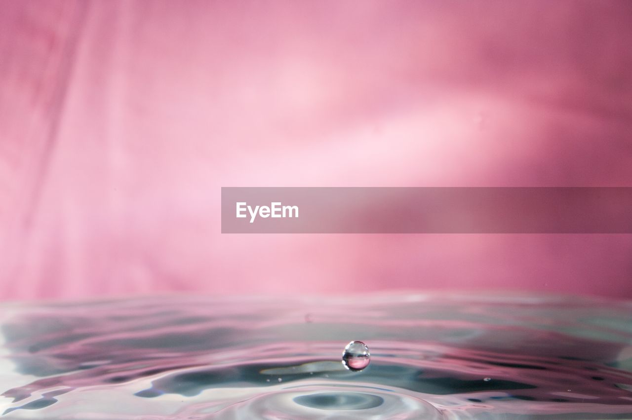 Close-up of water drops on pink flower