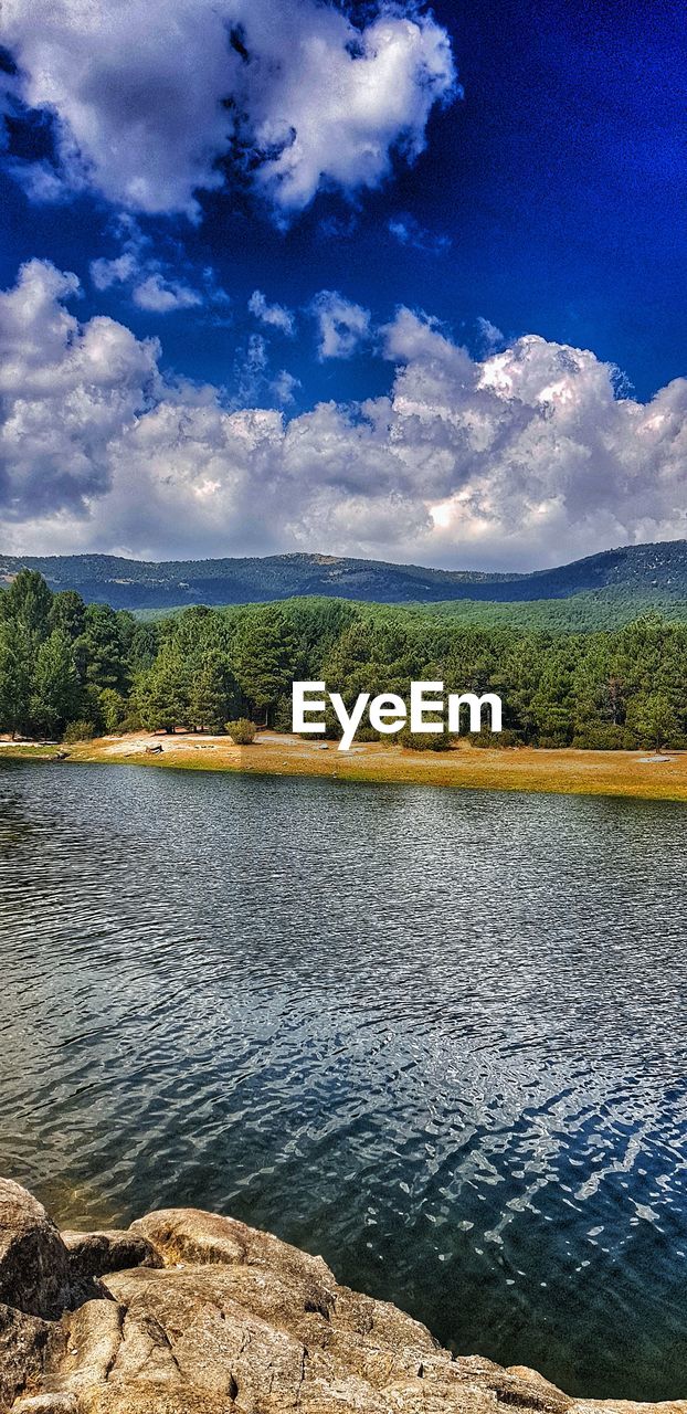 SCENIC VIEW OF LAKE BY TREES AGAINST SKY