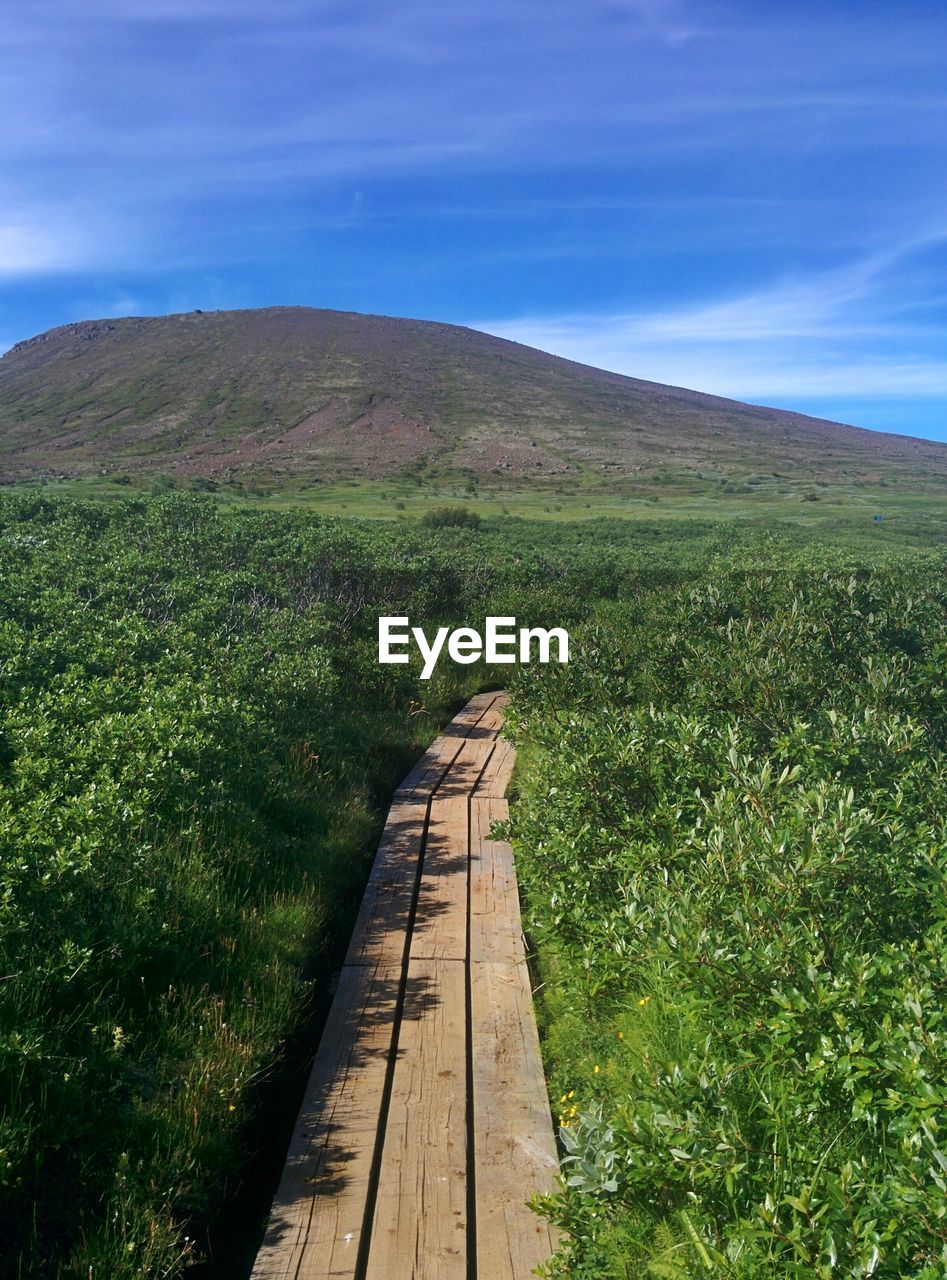 Scenic view of landscape against clear sky