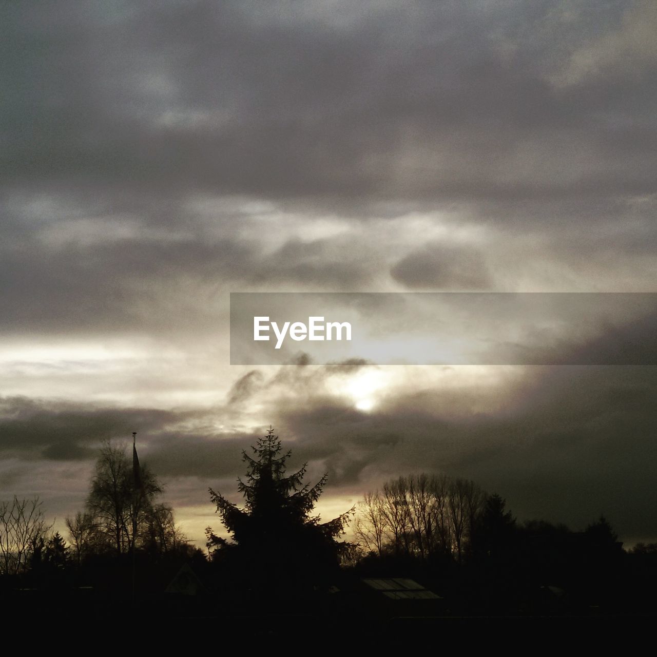 LOW ANGLE VIEW OF STORM CLOUDS OVER SILHOUETTE TREES