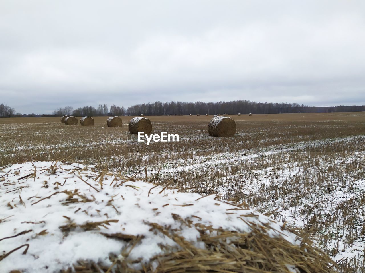HAY BALES ON FIELD DURING WINTER