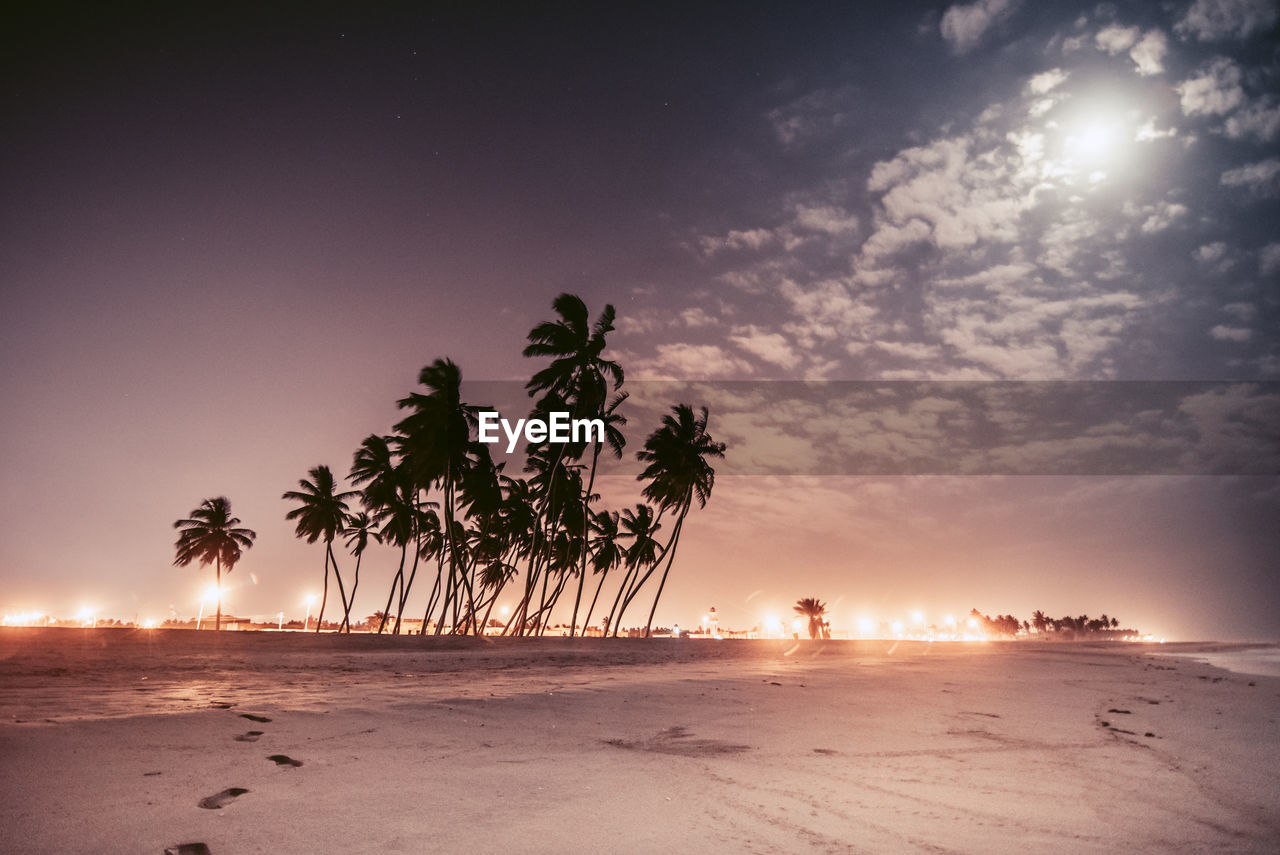 Palm trees on beach against sky during sunset