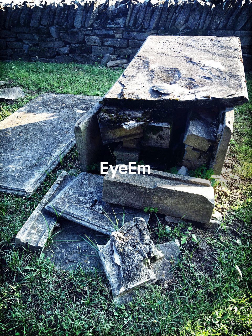 HIGH ANGLE VIEW OF WOOD ON GRASSY FIELD