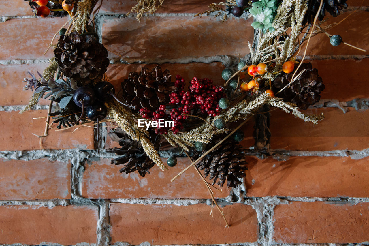 POTTED PLANTS GROWING BY WALL