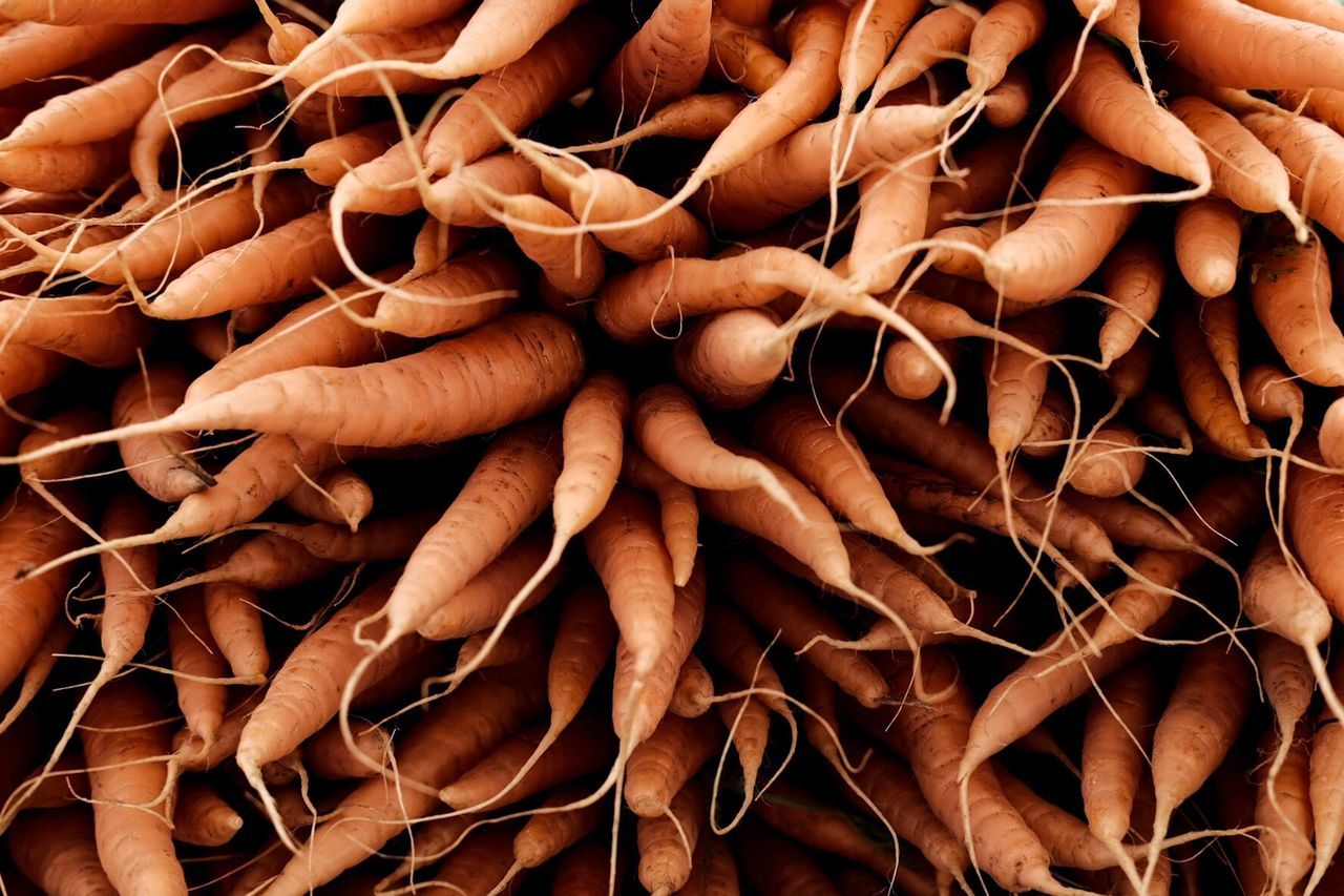 Full frame shot of carrots 