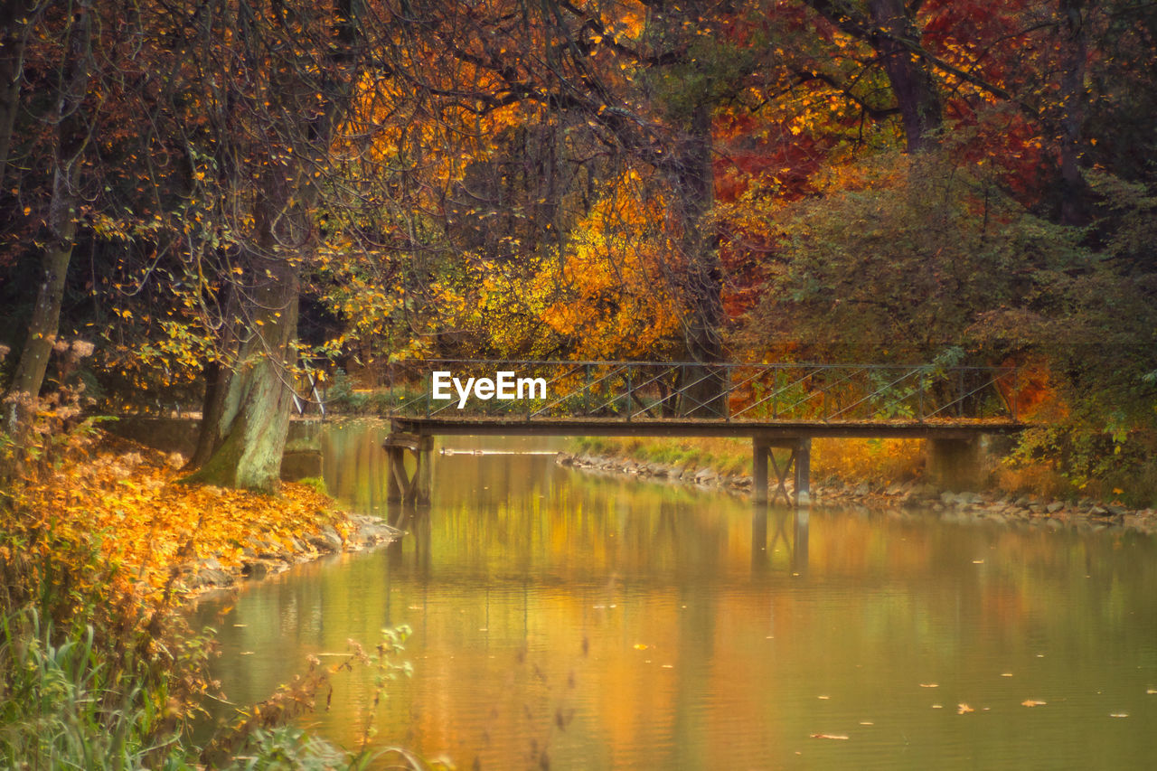 Scenic view of lake with bridge in forest during autumn