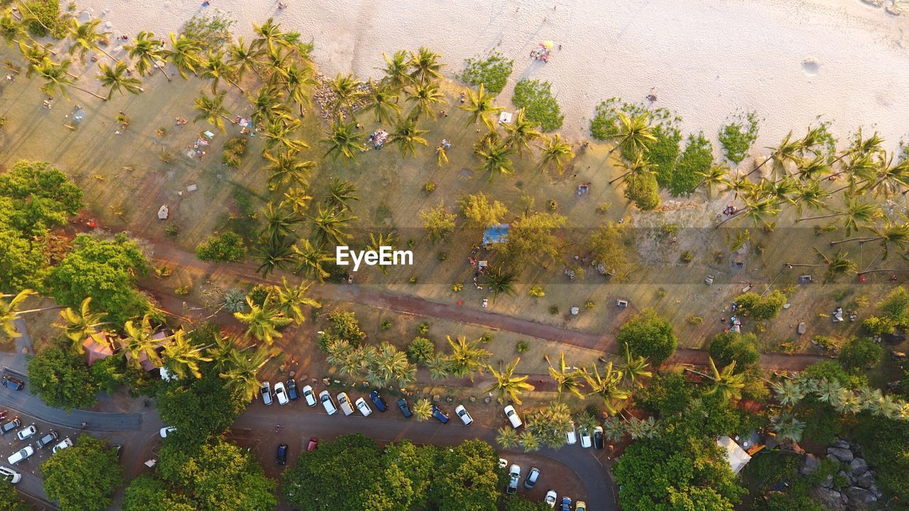 HIGH ANGLE VIEW OF LAKE AMIDST PLANTS IN PARK